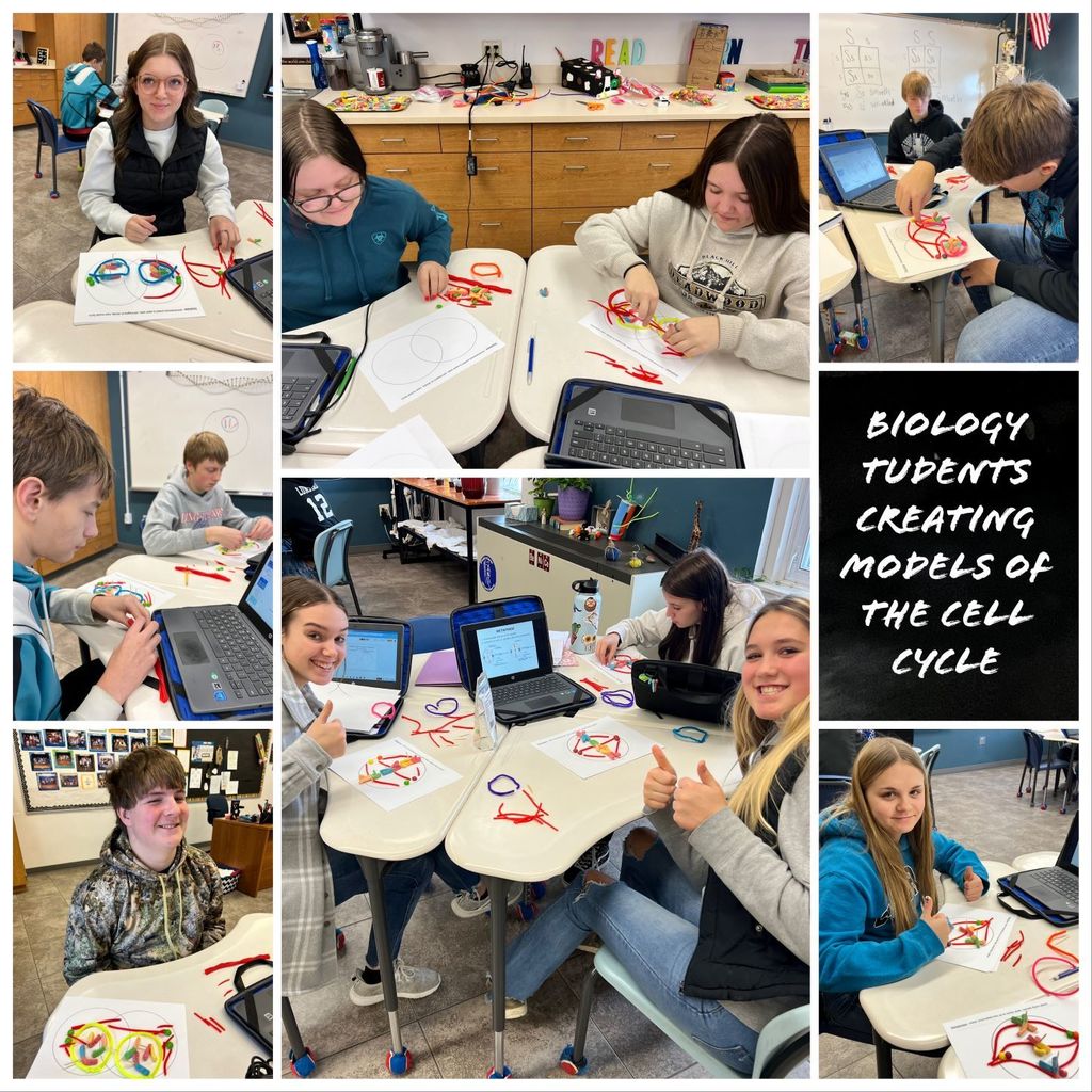 Sophomores studied the cell cycle last week. Here they are modeling the phases of mitosis.
